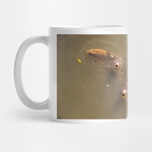 Catfish 3 Mug